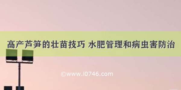 高产芦笋的壮苗技巧 水肥管理和病虫害防治