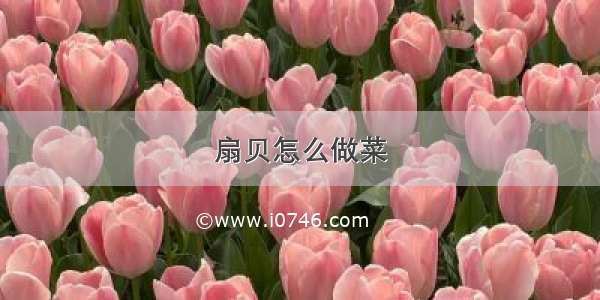 扇贝怎么做菜