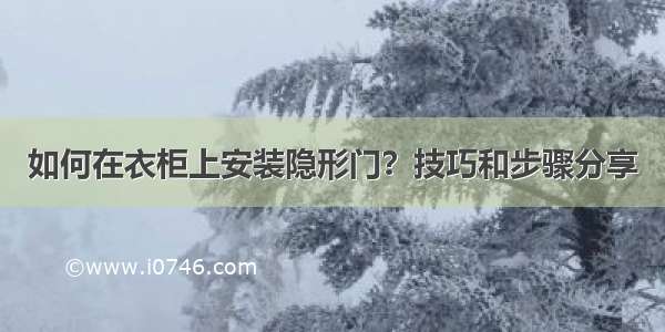 如何在衣柜上安装隐形门？技巧和步骤分享