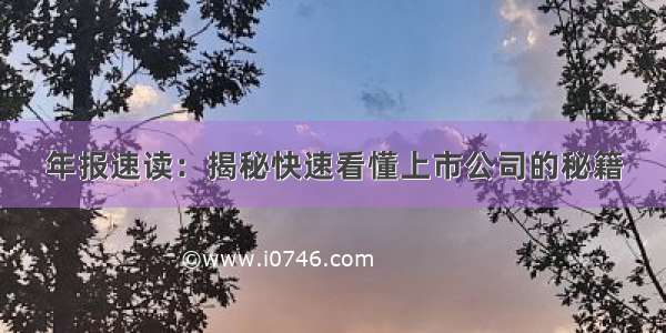 年报速读：揭秘快速看懂上市公司的秘籍