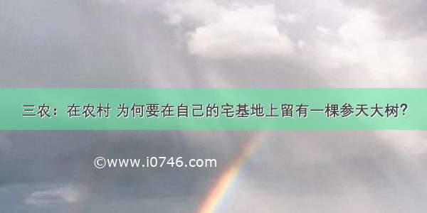 三农：在农村 为何要在自己的宅基地上留有一棵参天大树？